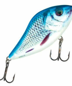Salmo Salmo Slider 10 cm jerkbait Color:RPH 93 Salmo Salmo Slider 10 cm jerkbait Color:RPH -fishing-lures Outlet Shop e74fe0a7 e94a 4eee bf7d 7e226b9781b1