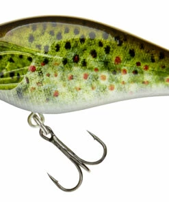 Daiwa Daiwa Toddler Crank 6 cm Plug Color:GP -fishing-lures Outlet Shop ea8cd935 21c6 4eb0 9491 c7b80c15f209