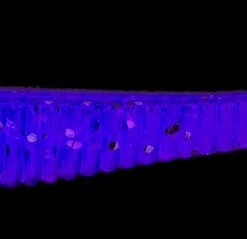 Lucky John Lucky John Long John Shad 3.1", 8-Pack Color:T44 49 Lucky John Lucky John Long John Shad 3.1", 8-Pack Color:T44 -fishing-lures Outlet Shop ead213eb 3003 4942 a068 84a86aef7a94