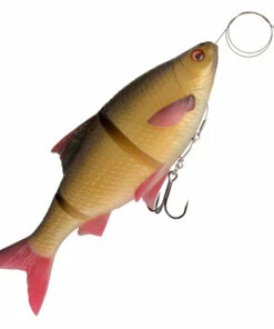 Savage Gear Savage Gear 3D Line Thru Roach 32 cm Fish Jig Color:Firetiger -fishing-lures Outlet Shop eb87d001 4231 4062 876e 0a63a741f640