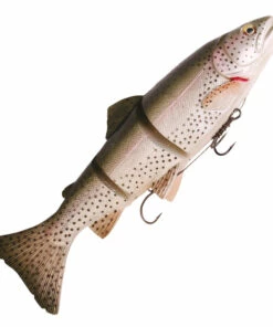 Savage Gear Savage Gear 3D Trout Line Thru 20 cm Jig Color:Rainbow