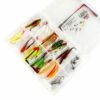 Jasu Jasu Tiera Jig Assortment 8 cm 30 pcs. + jig heads