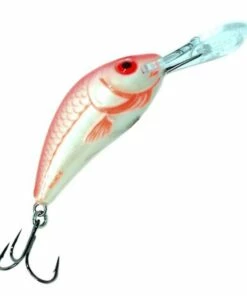 Salmo Salmo Hornet 3F 3.5 cm Plug Color:RTS -fishing-lures Outlet Shop f9bf62da ca7c 45c3 96a7 972741fd02f5