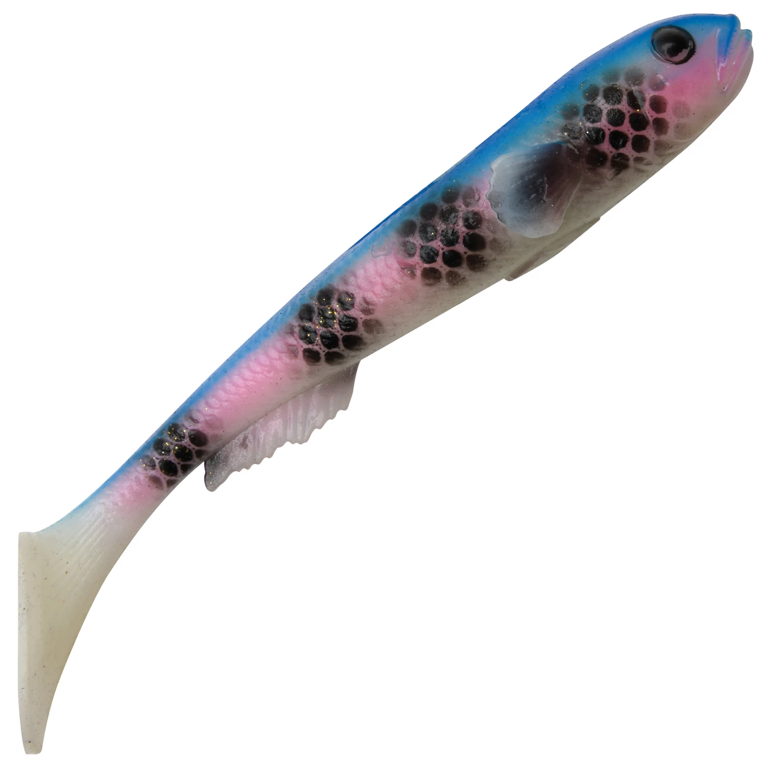 Savage Gear Savage Gear 3D Goby Shad 20 cm Fish Jig Color:Rainbow 20 Savage Gear Savage Gear 3D Goby Shad 20 cm Fish Jig Color:Rainbow - Image 20