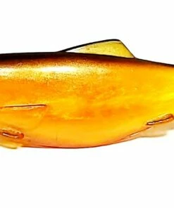 Orka Orka Shad 7 cm Jig 5-pack Color:FB 119 Orka Orka Shad 7 cm Jig 5-pack Color:FB -fishing-lures Outlet Shop fcc4e75f e9dc 494f a20a a596f8def2ae